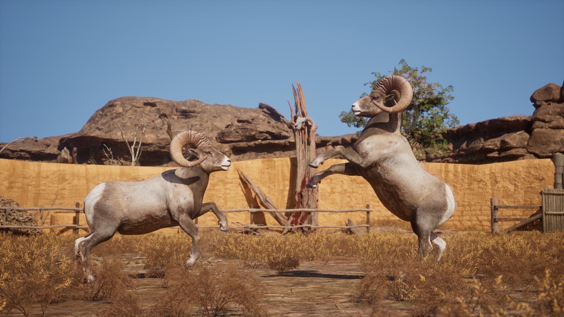 Ram Fights 戰鬥畫面